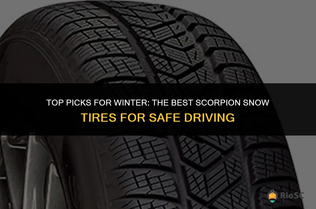best snow tires scorpion