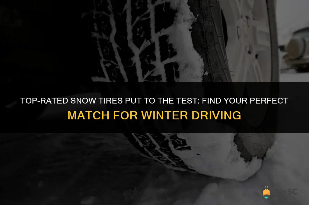 best snow tires test
