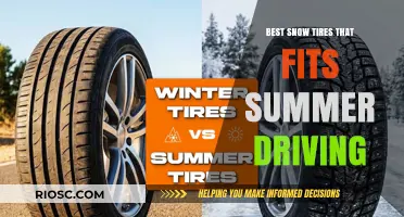 Top Picks for Snow Tires That Excel in Summer Driving: A Comprehensive Guide