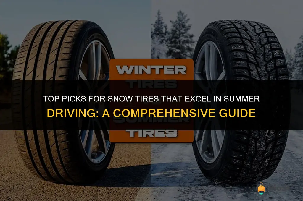 best snow tires that fits summer driving