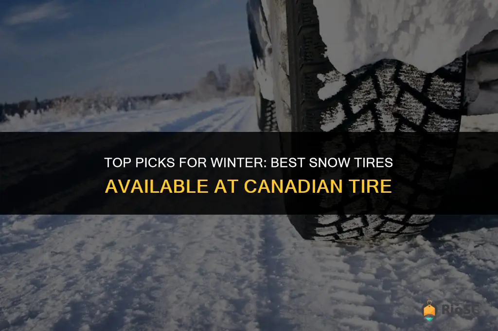 best snow tires to buy at canadian tires