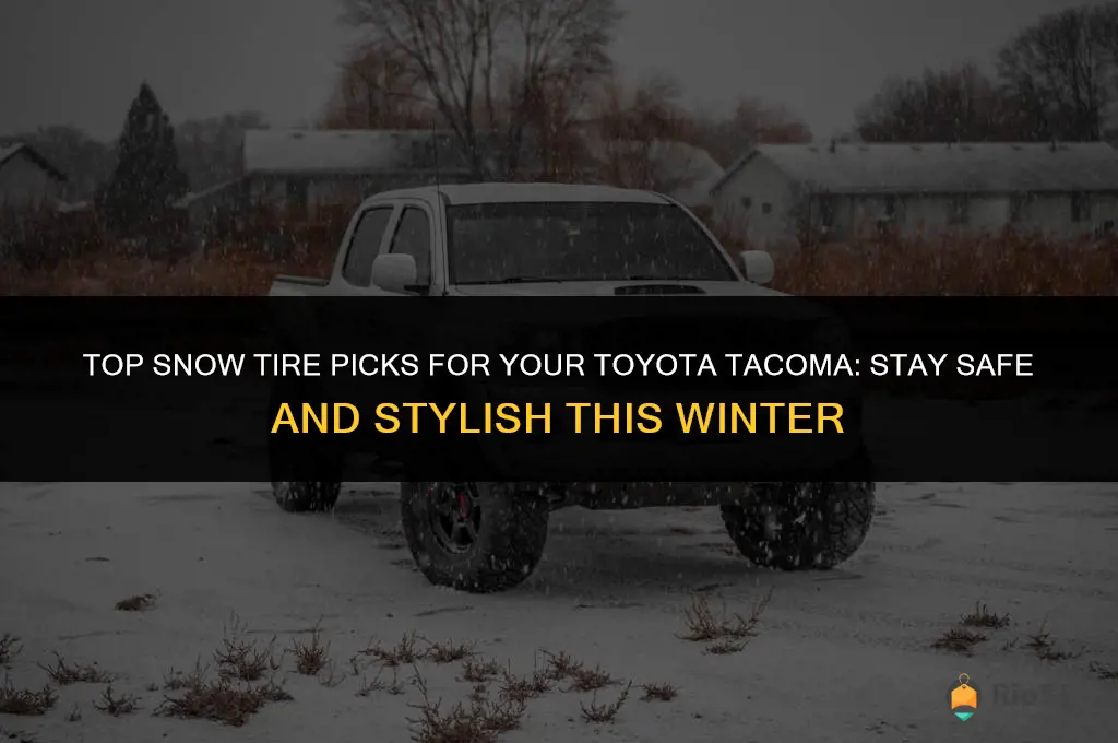 best snow tires toyota tacoma