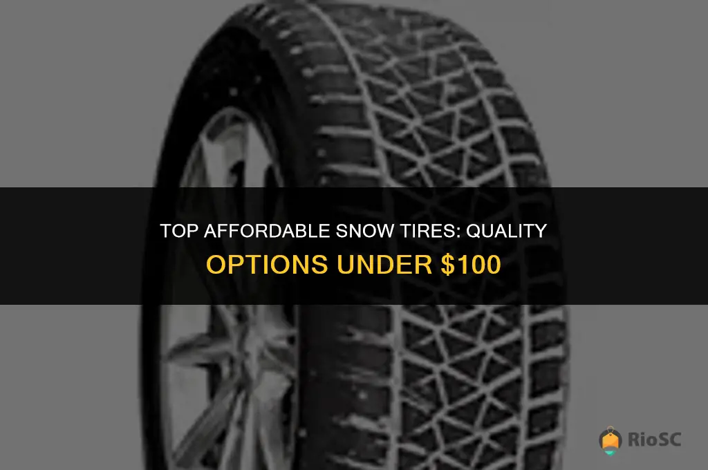 best snow tires under $100
