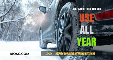 Versatile Traction: Top All-Year Snow Tires for Unmatched Performance