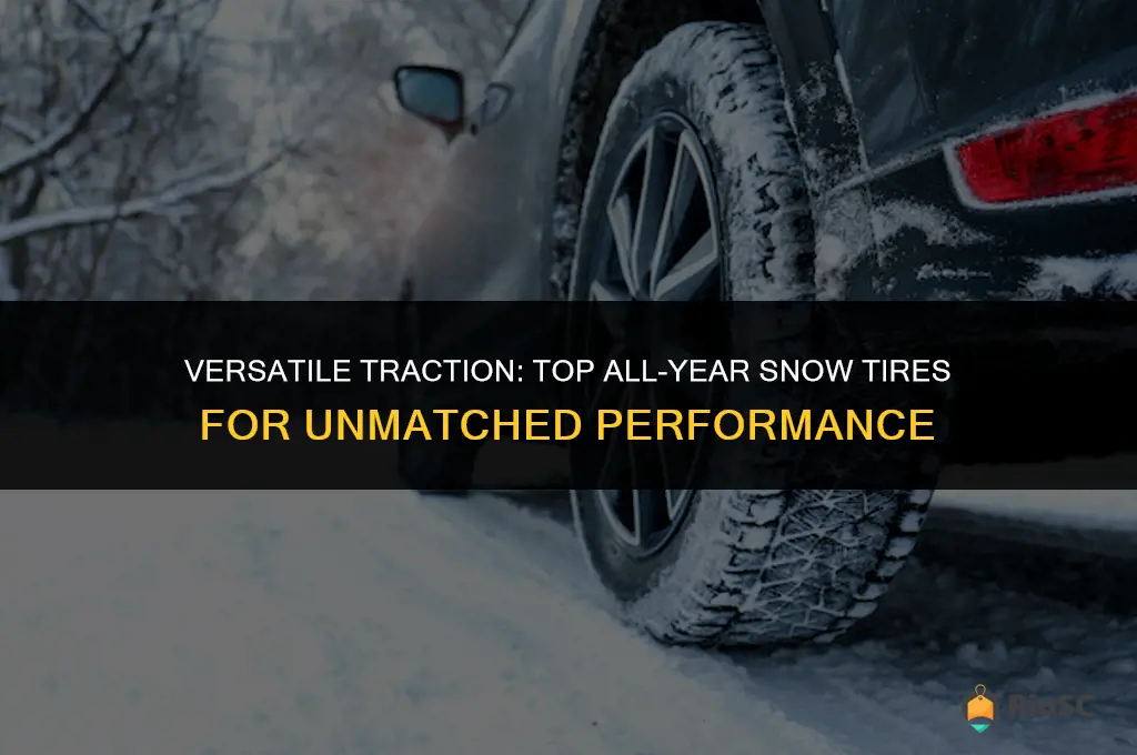 best snow tires you can use all year