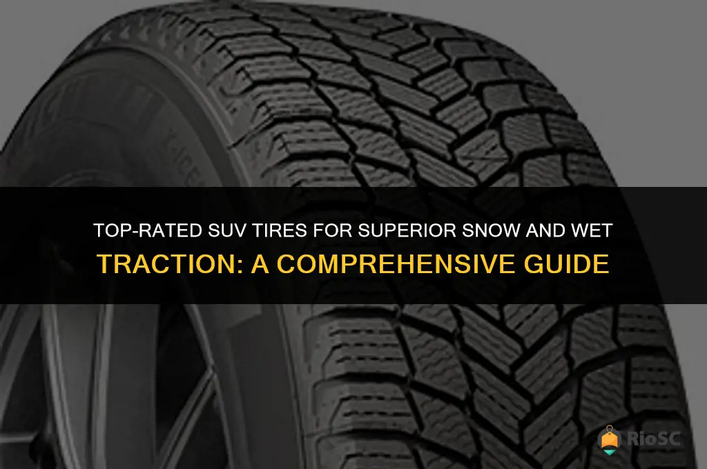 best snow wet traction suv tires