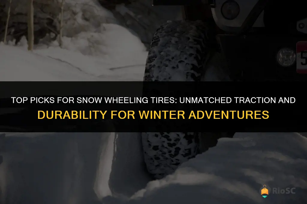 best snow wheeling tires