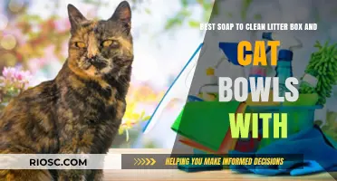 Top Soaps for Cleaning Litter Boxes and Cat Bowls: Safe and Effective Options for Your Feline Friend