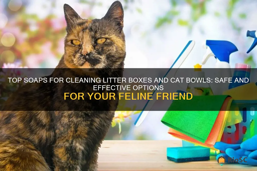best soap to clean litter box and cat bowls with