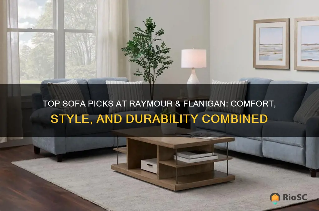 best sofa at raymour and flanigan