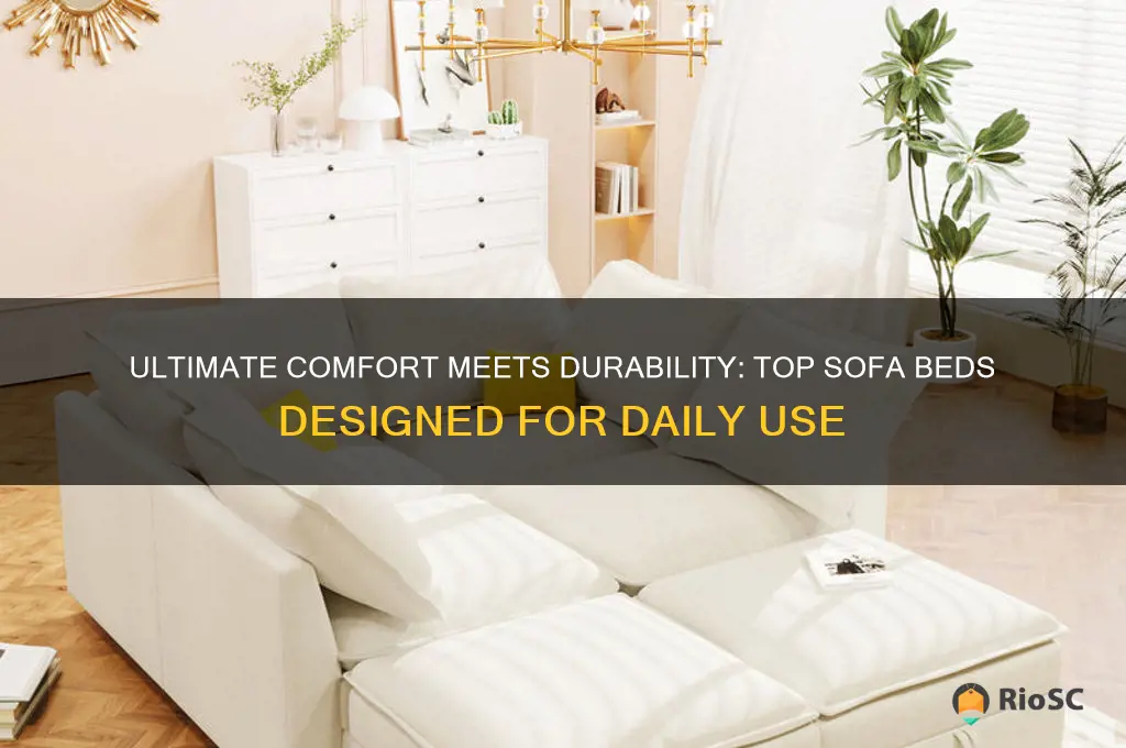 best sofa bed for daily use