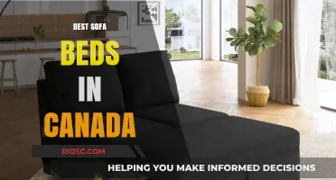 Top-Rated Sofa Beds in Canada: Comfort, Style, and Functionality Combined