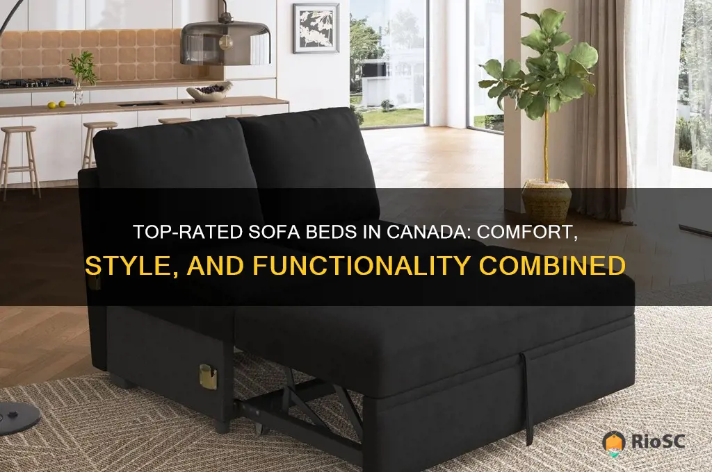 best sofa beds in canada