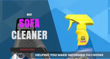 Ultimate Guide to Choosing the Best Sofa Cleaner for Spotless Upholstery