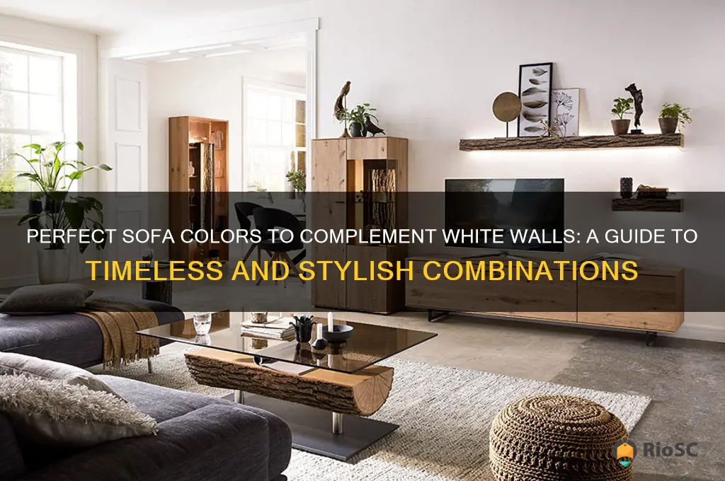 best sofa color for white walls