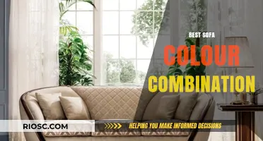 Elegant Sofa Colour Combinations to Transform Your Living Space