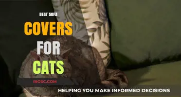 Purr-fect Protection: Top Sofa Covers to Keep Your Furniture Safe from Cats