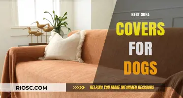 Pet-Friendly Protection: Top Sofa Covers to Keep Your Couch Clean and Cozy for Dogs