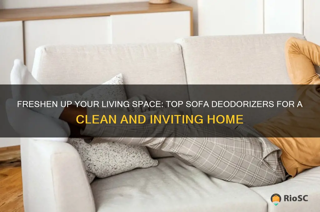 best sofa deodorizer