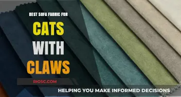 Cat-Proof Comfort: Choosing the Best Sofa Fabric for Cats with Claws