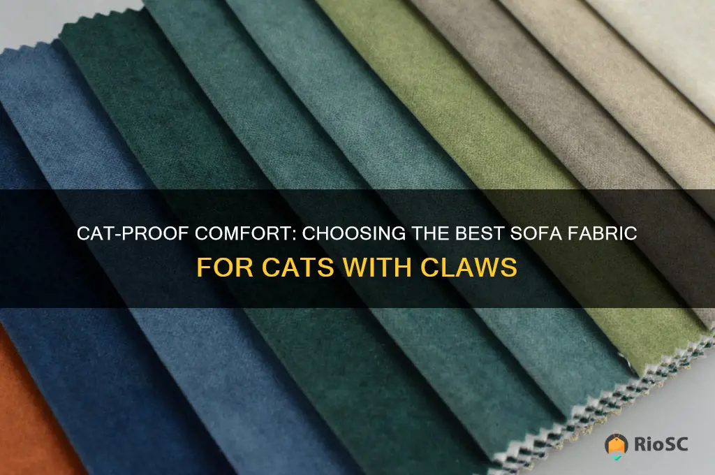 best sofa fabric for cats with claws
