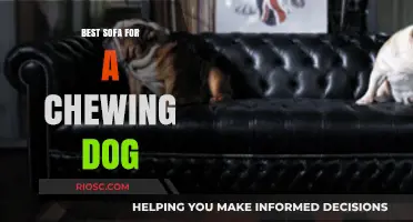 Durable and Dog-Proof: The Ultimate Sofa Guide for Chewing Canines