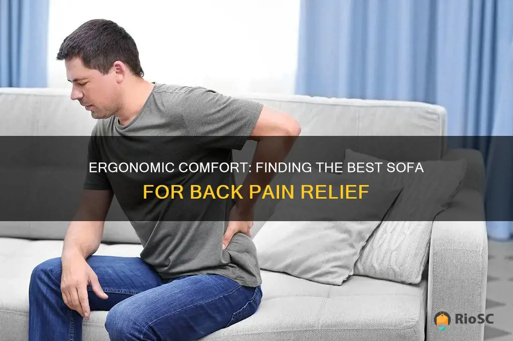 best sofa for back pain sufferers