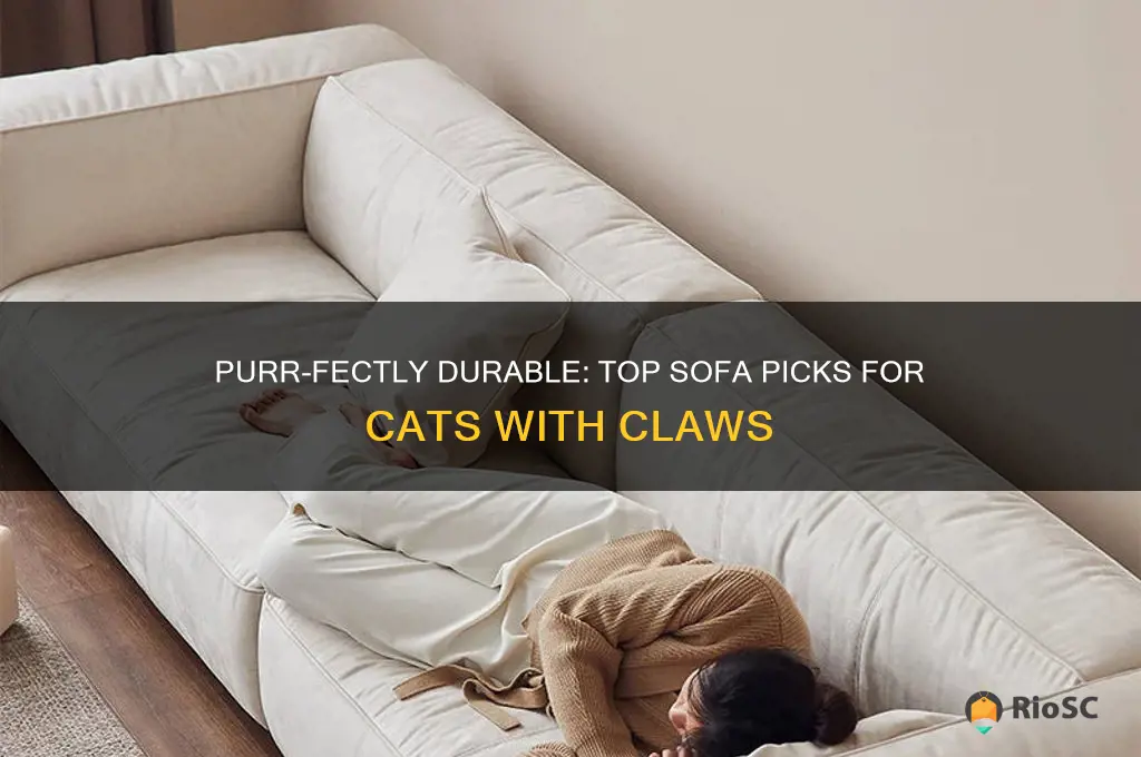 best sofa for cats with claws