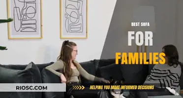 Family-Friendly Comfort: The Ultimate Sofa Guide for Busy Households