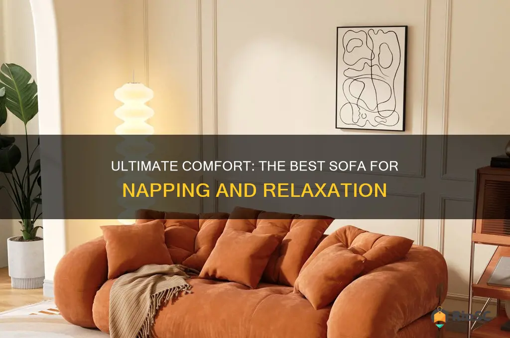 best sofa for napping