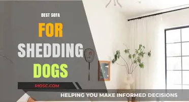 Pet-Friendly Comfort: Top Sofa Picks for Homes with Shedding Dogs