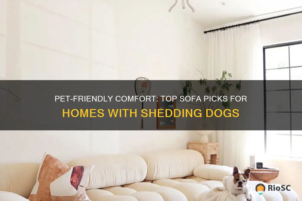 best sofa for shedding dogs