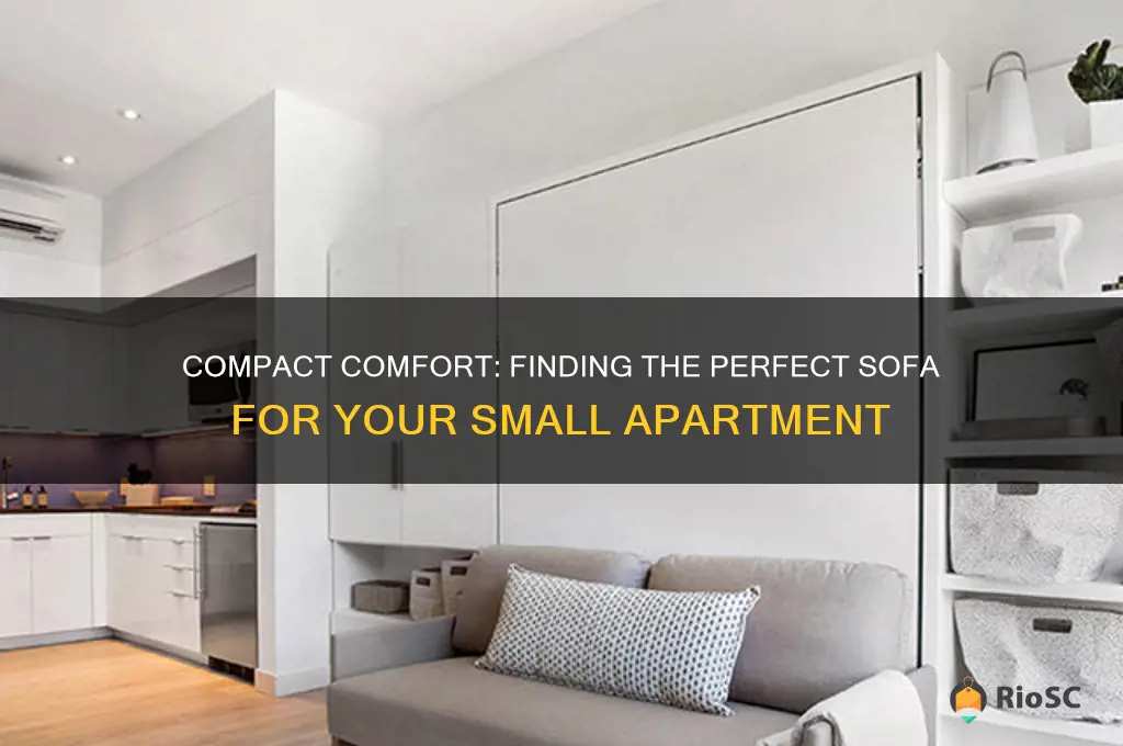 best sofa for small apartment