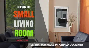 Compact Comfort: Finding the Perfect Sofa for Your Small Living Room