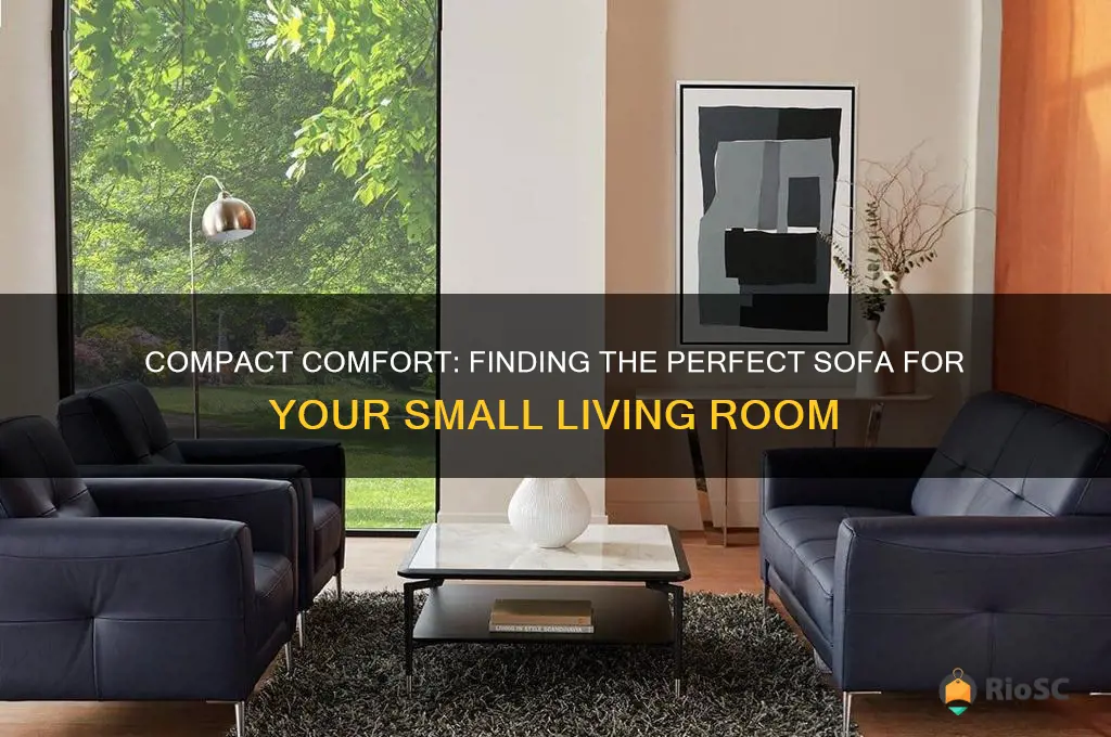 best sofa for small living room