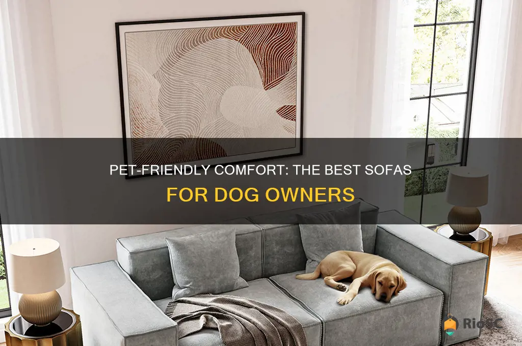 best sofa if you have dogs