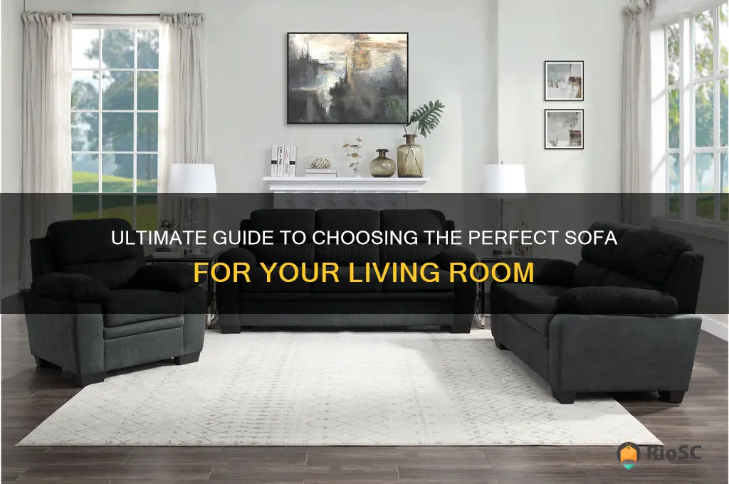 best sofa living room