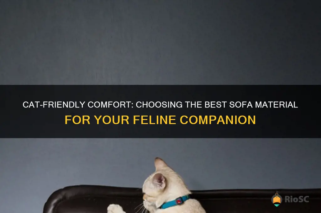 best sofa material for cats