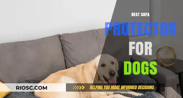 Ultimate Guide to the Best Sofa Protectors for Dog Owners: Keep Your Furniture Clean and Scratch-Free