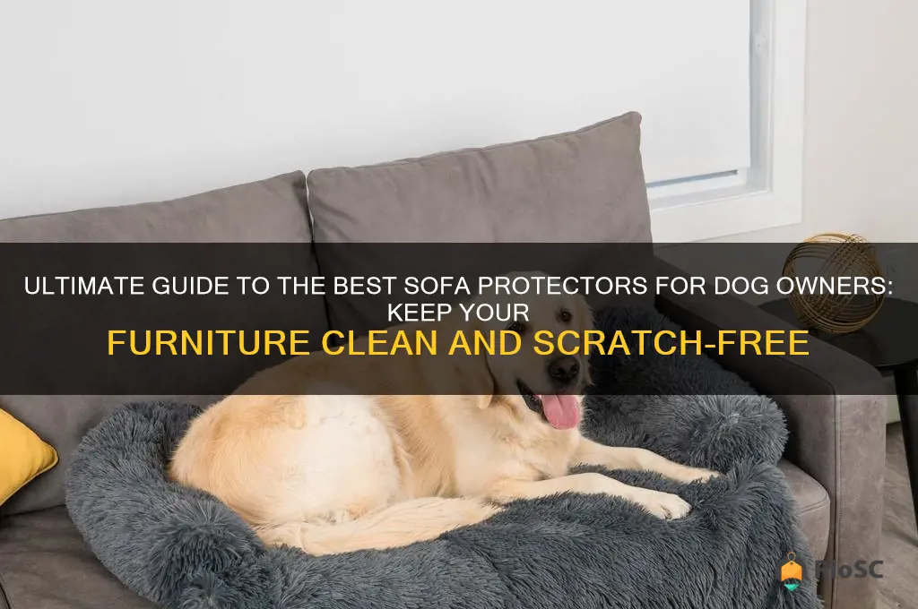 best sofa protector for dogs