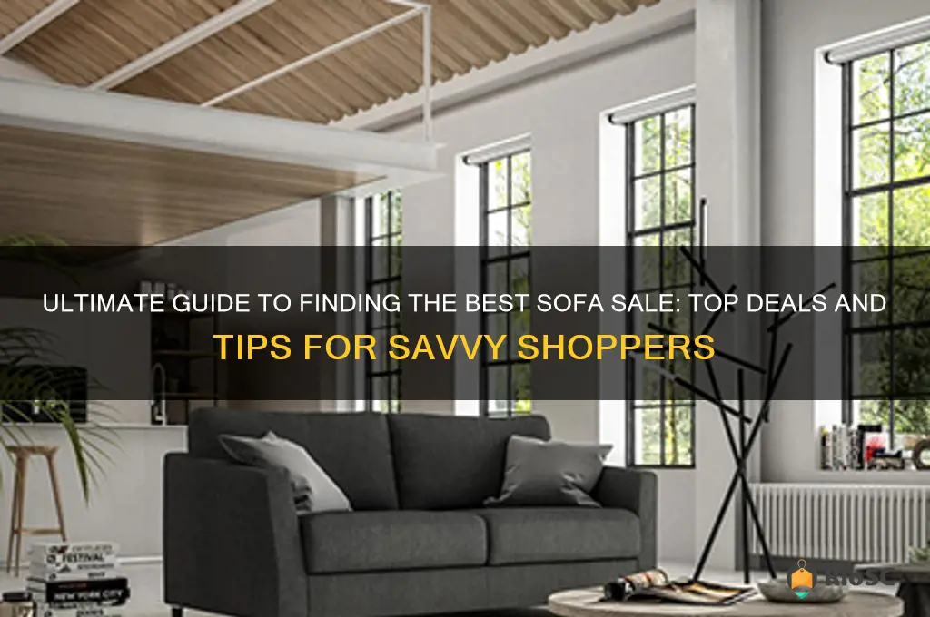 best sofa sale