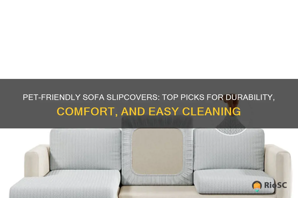 best sofa slipcovers for pets