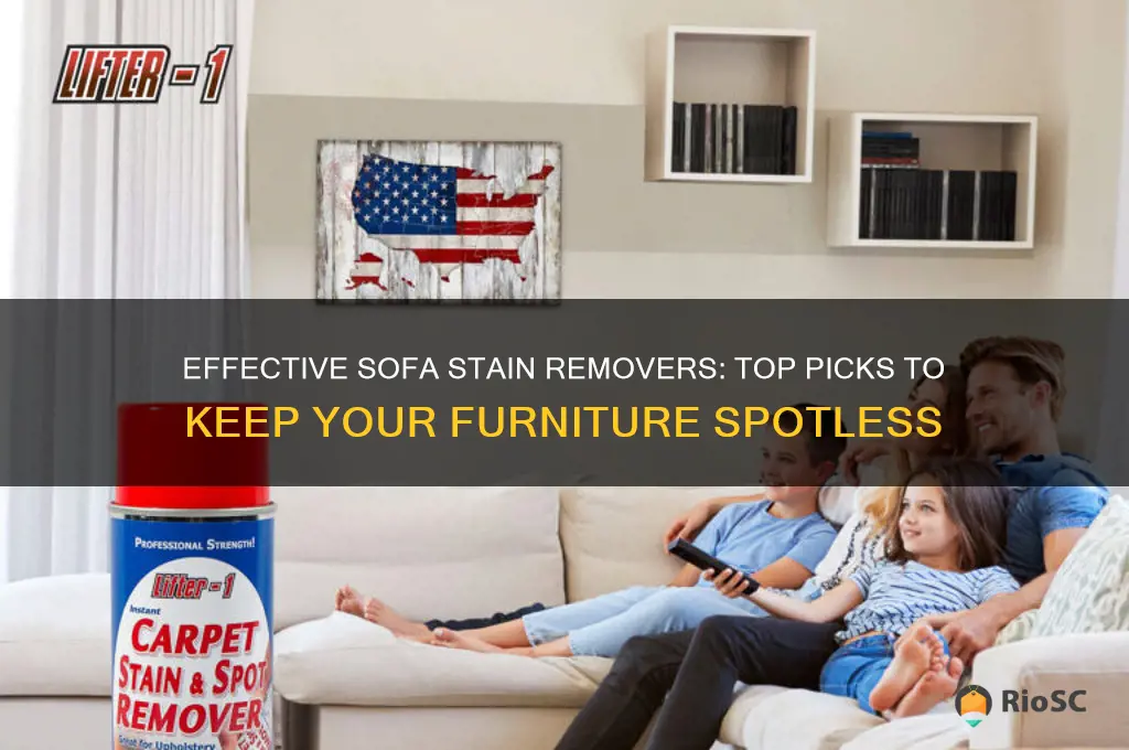 best sofa stain remover