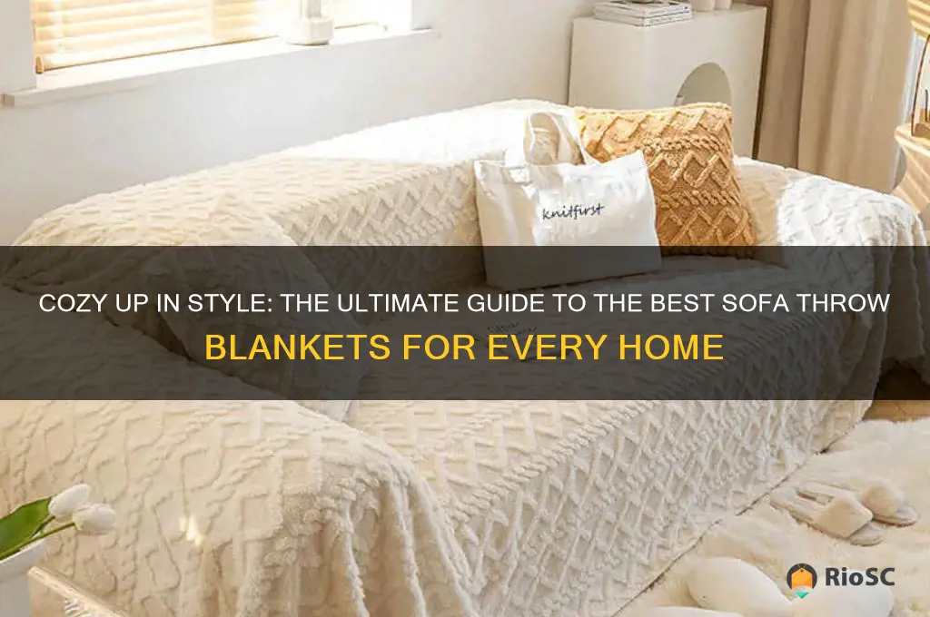 best sofa throw blankets