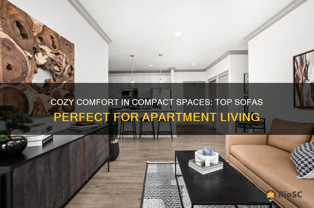 best sofas for apartments