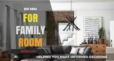 Cozy Comfort Meets Durability: Top Sofa Picks for Your Family Room