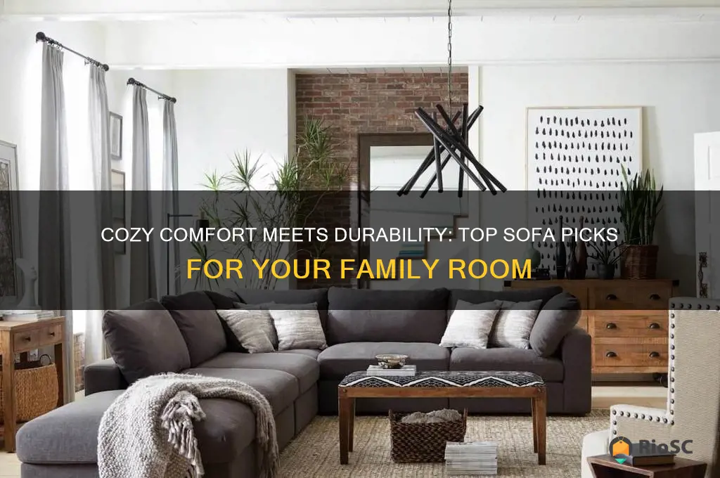 best sofas for family room