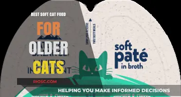 Top Picks for Senior Feline Nutrition: The Best Soft Cat Food for Older Cats