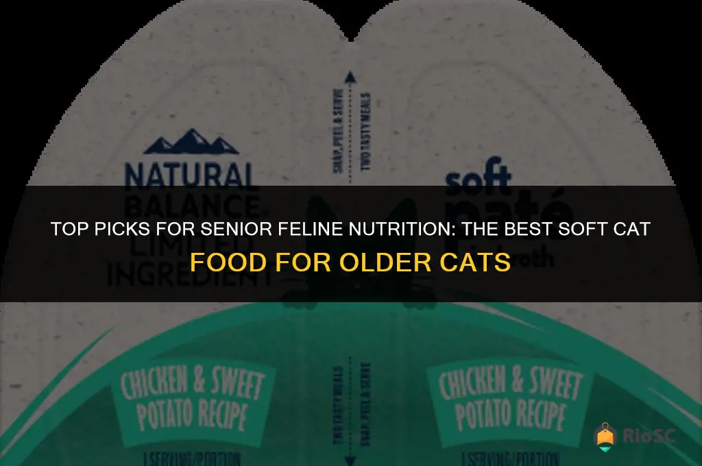 best soft cat food for older cats