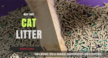 Purr-fectly Gentle: Top Picks for the Best Soft Cat Litter